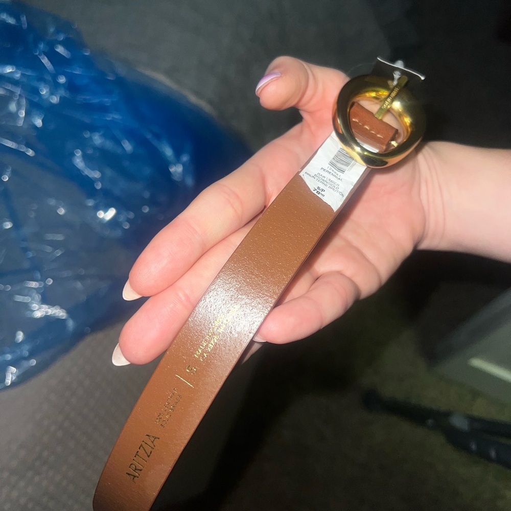 Aritzia Brown Belt with Gold Buckle